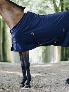 Kentucky Horsewear Cotton Blanket - 75